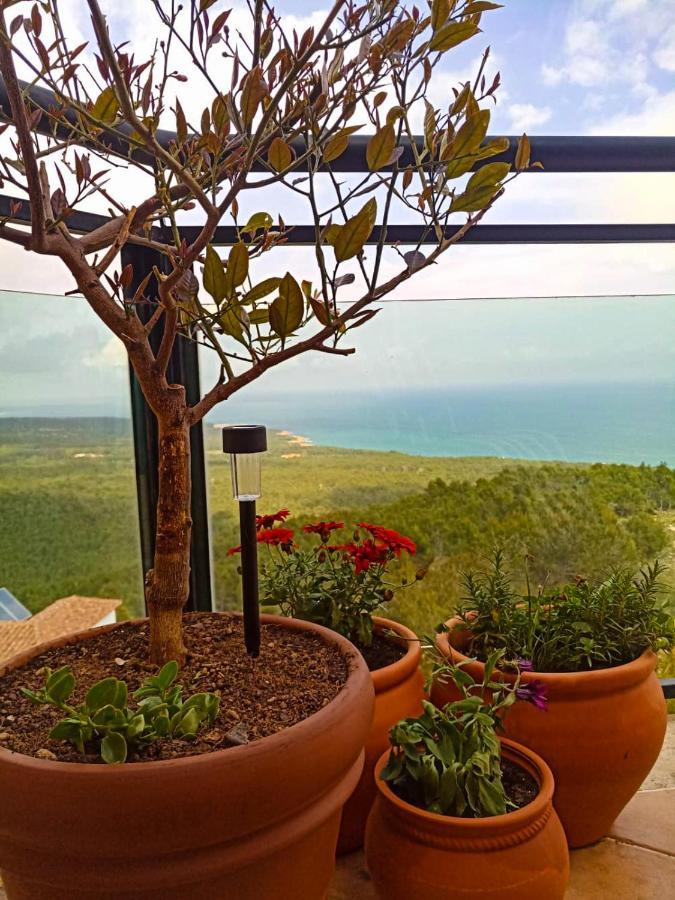 Ferienwohnung Precioso Atico En La Sierra De Irta Alcossebre Exterior foto