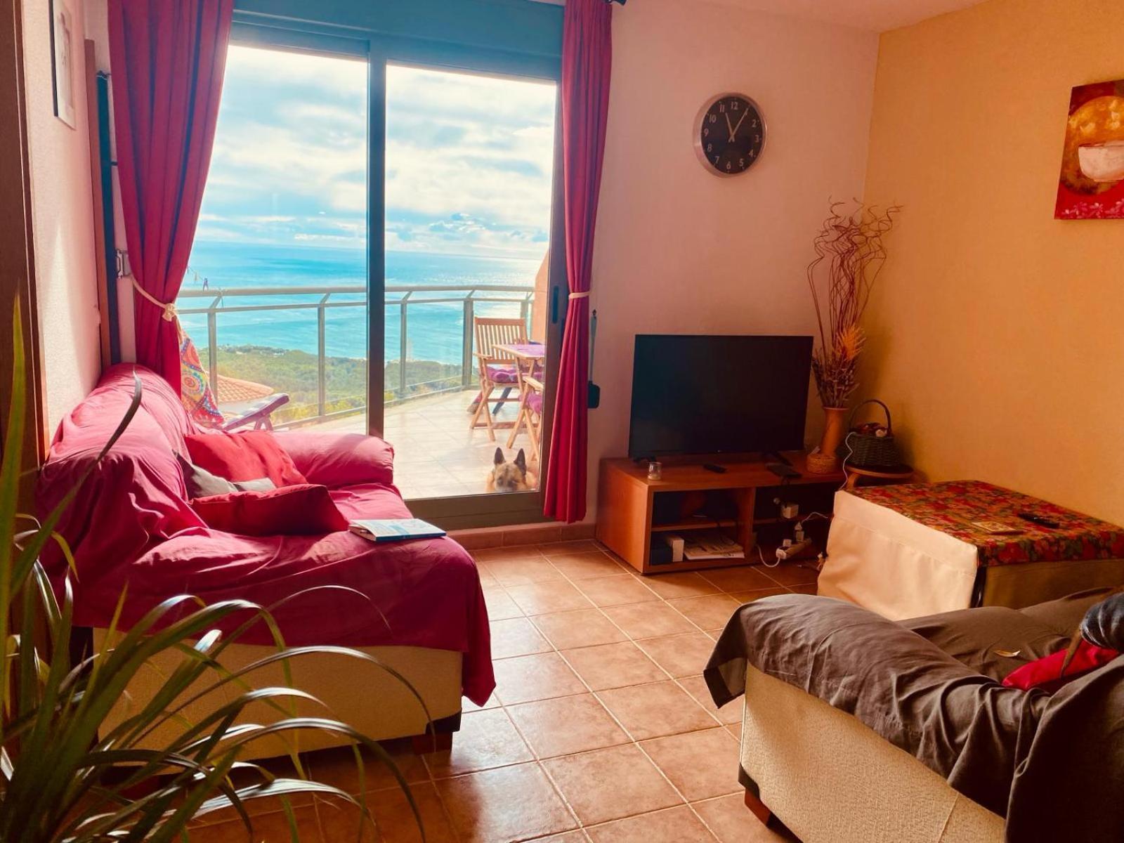 Ferienwohnung Precioso Atico En La Sierra De Irta Alcossebre Exterior foto